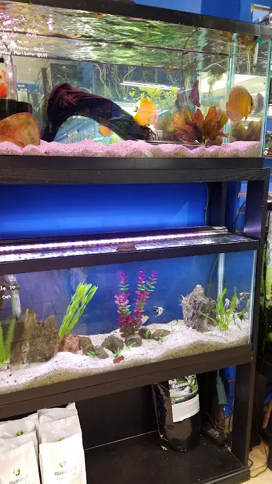 Fish Planet Picture 5