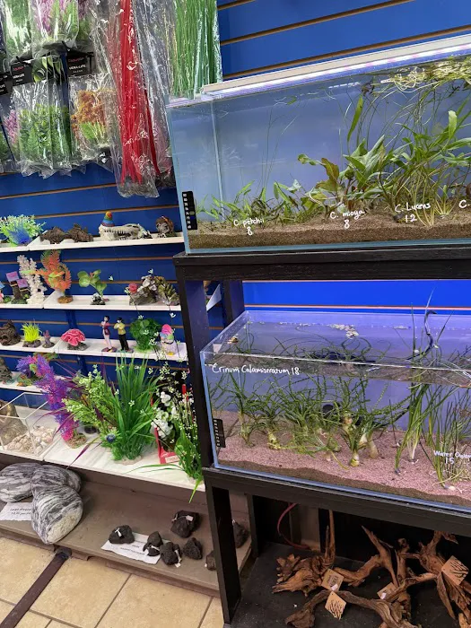 Fish Planet Picture 10