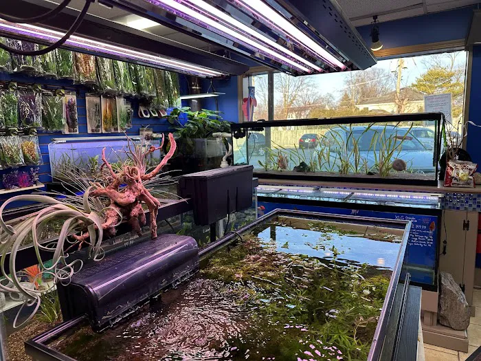 Fish Planet Picture 1
