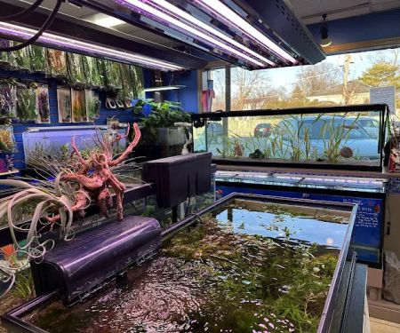 Fish Planet