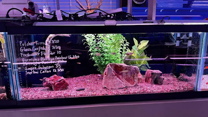 Fish Planet Picture 4