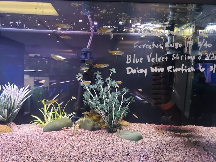 Fish Planet Picture 2