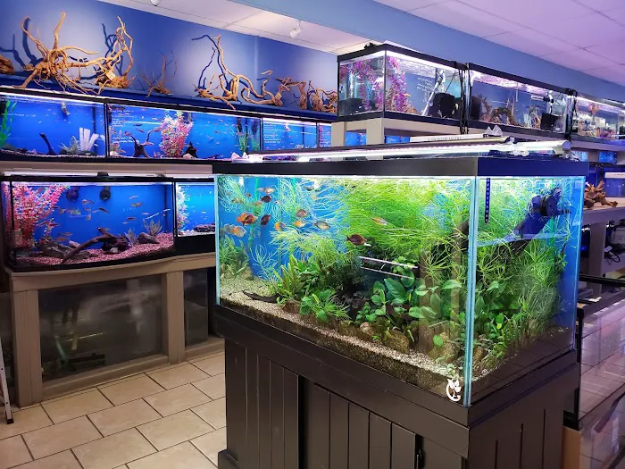 Fish Planet Picture 7