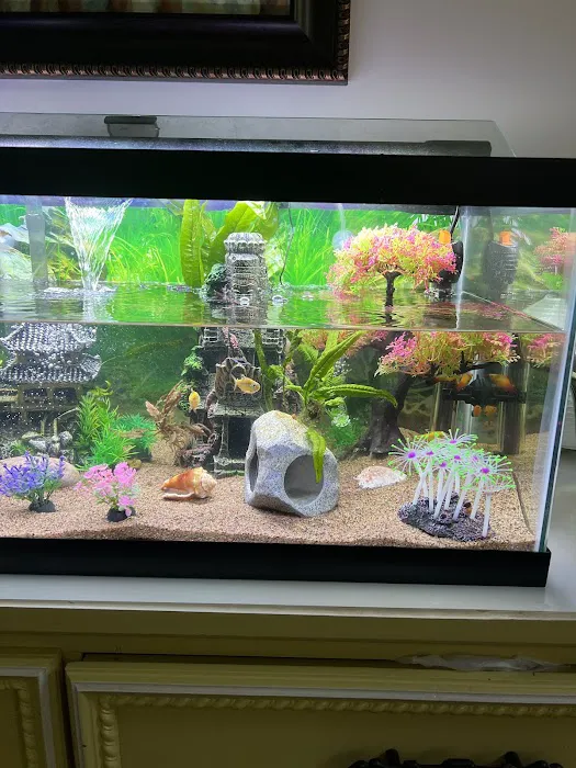 Fish Planet Picture 9