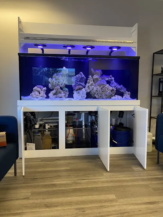 Marine Concepts Inc. Picture 2