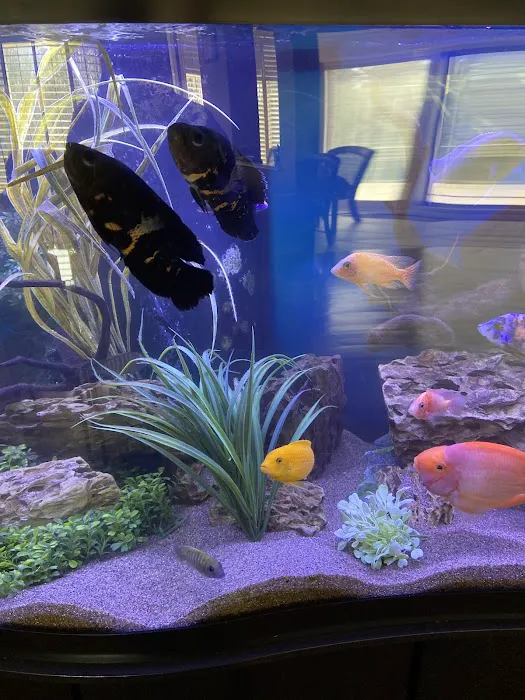Marine Concepts Inc. Picture 10