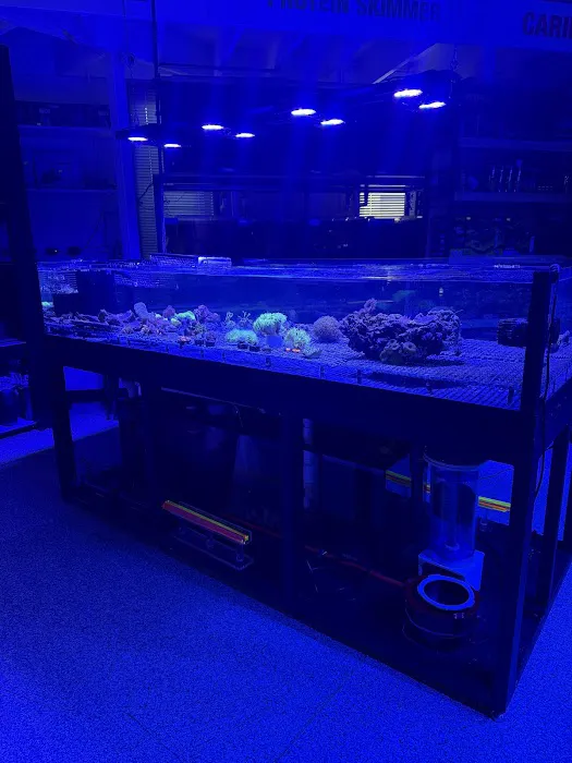 Marine Concepts Inc. Picture 8