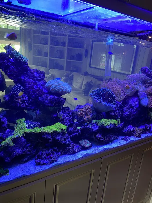 Marine Concepts Inc. Picture 7