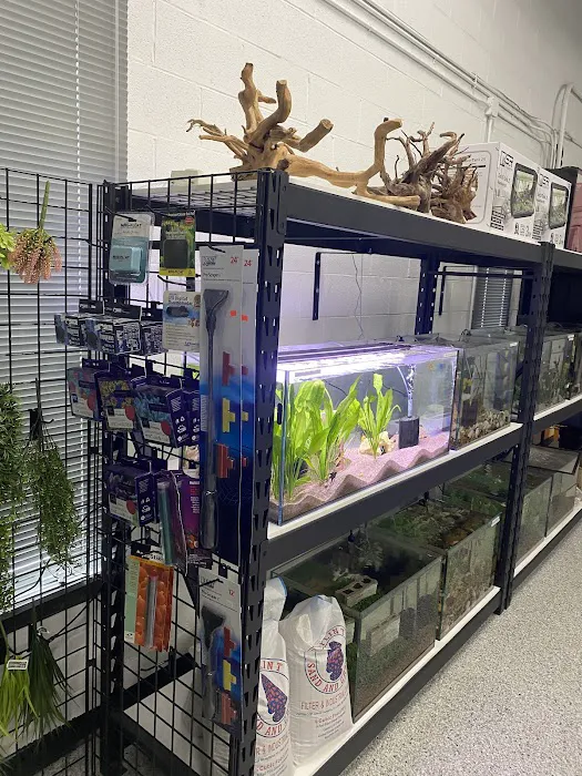 Marine Concepts Inc. Picture 6