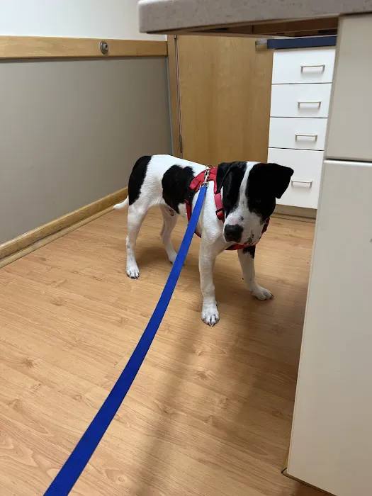 Mendon Village Animal Hospital Picture 6