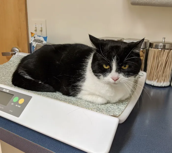 Mendon Village Animal Hospital Picture 3