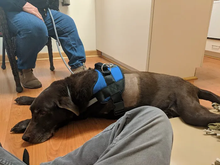 Mendon Village Animal Hospital Picture 8