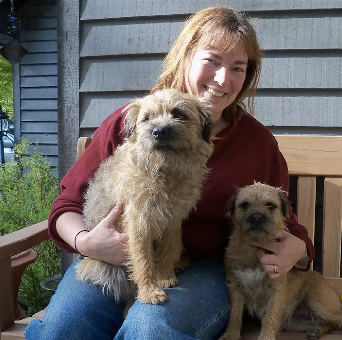 Canfield Vet, Dog and Cat Hospital Picture 4