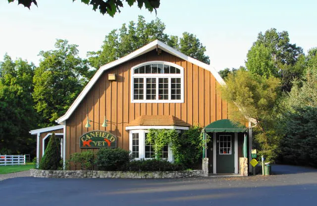 Canfield Vet, Dog and Cat Hospital Picture 3