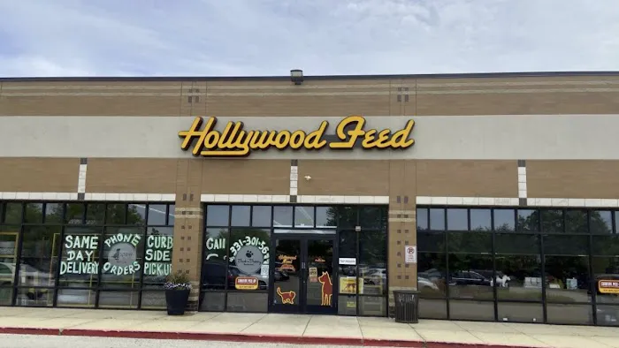 Hollywood Feed Picture 2