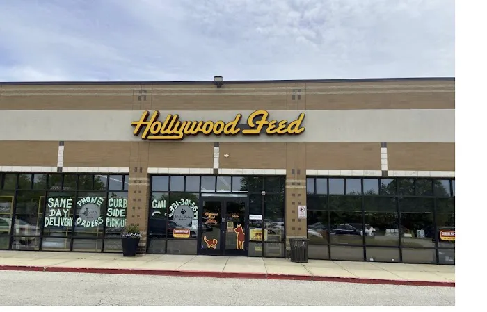 Hollywood Feed Picture 7