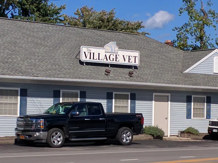 The Village Vet Picture 3