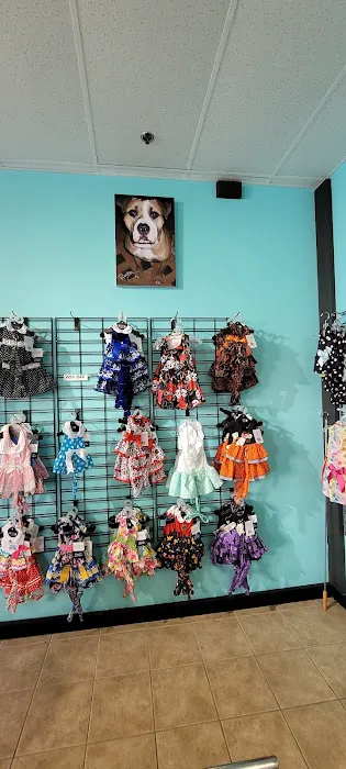 It's So Fluffy Pet Bakery Picture 9