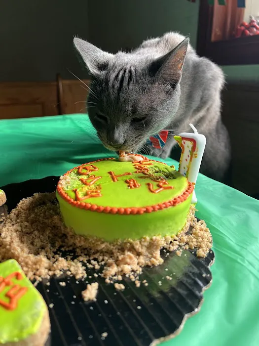 It's So Fluffy Pet Bakery Picture 5