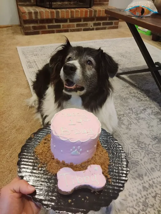 It's So Fluffy Pet Bakery Picture 10