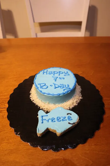 It's So Fluffy Pet Bakery Picture 2