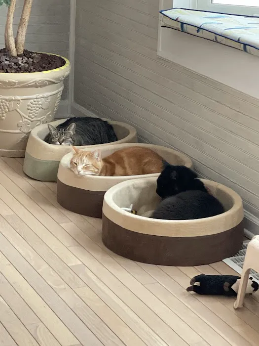 Banfield Pet Hospital Picture 8