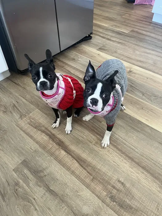 Banfield Pet Hospital Picture 2