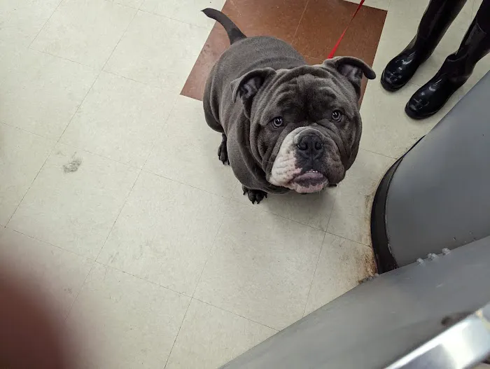 Banfield Pet Hospital Picture 6