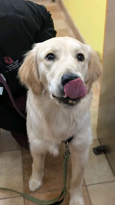 Banfield Pet Hospital Picture 4