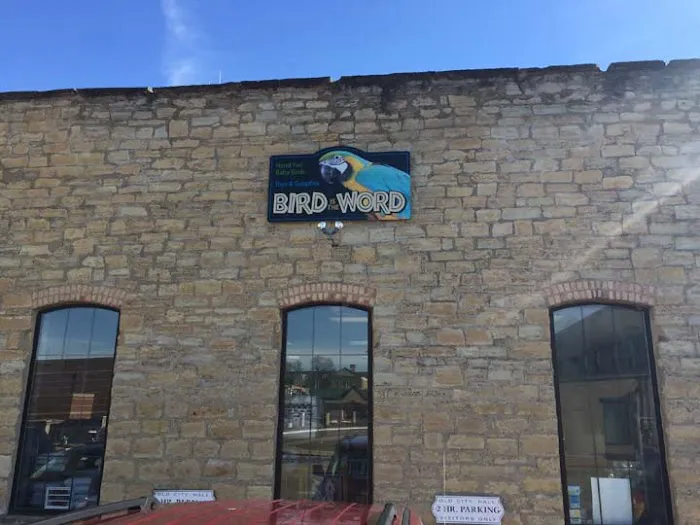 Bird Is the Word Picture 2