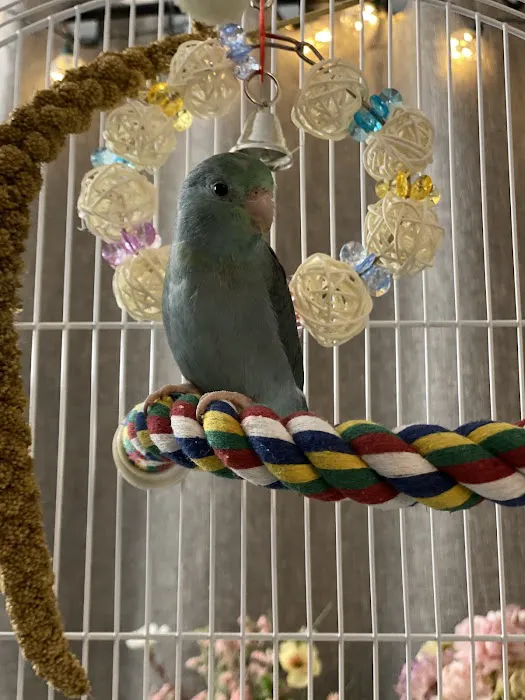 Bird Is the Word Picture 8