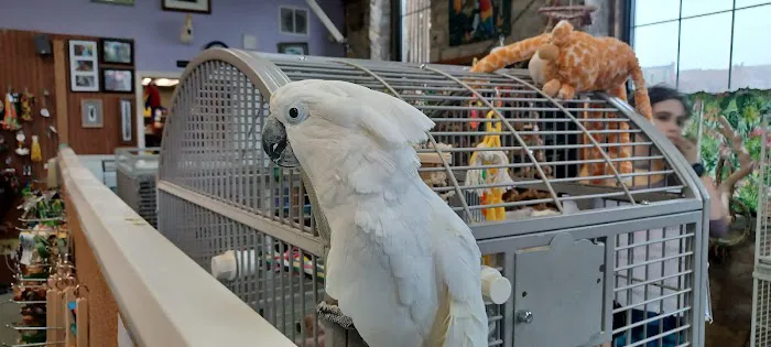 Bird Is the Word Picture 6