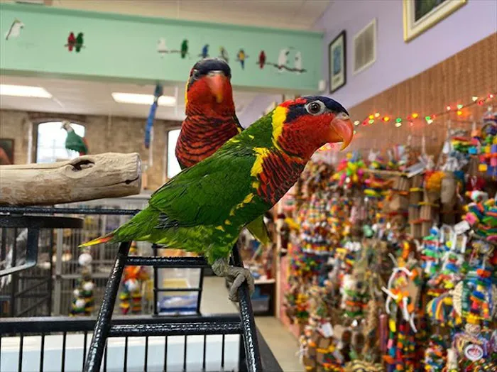 Bird Is the Word Picture 4
