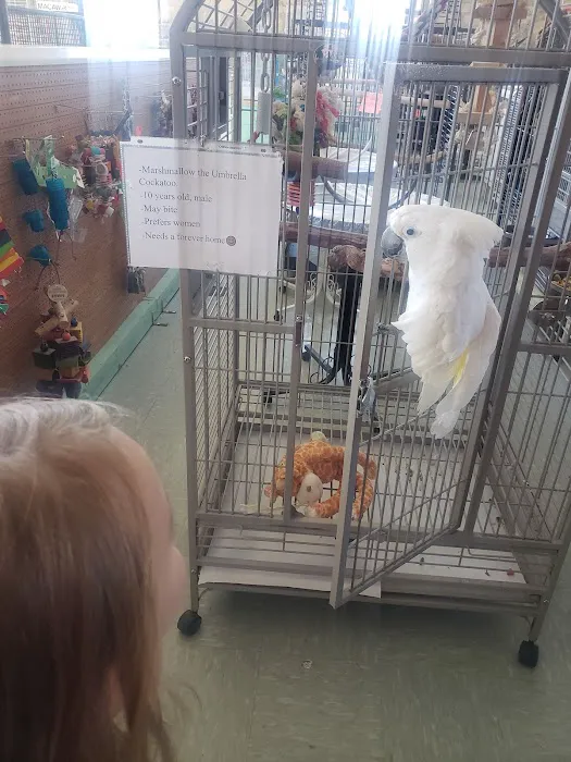 Bird Is the Word Picture 9