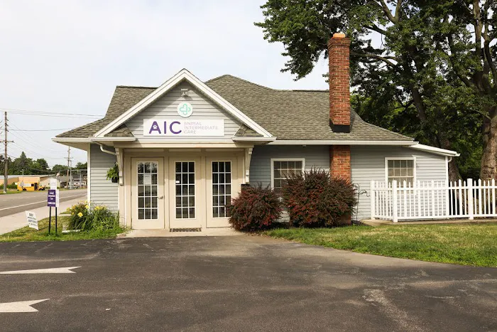 Animal Intermediate Care Picture 1