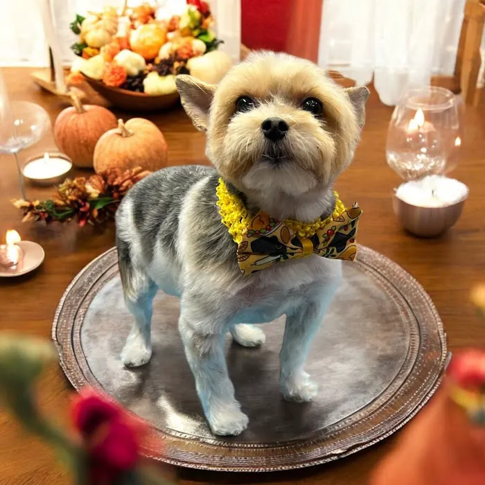 A pawfect cut by Kelli Picture 7