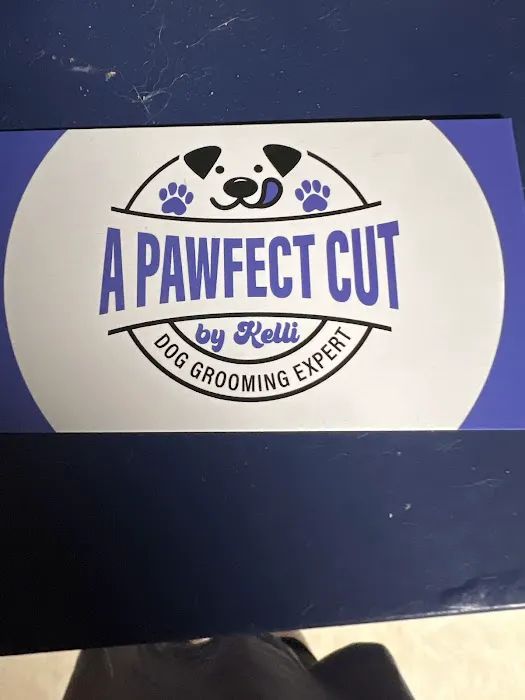 A pawfect cut by Kelli Picture 1