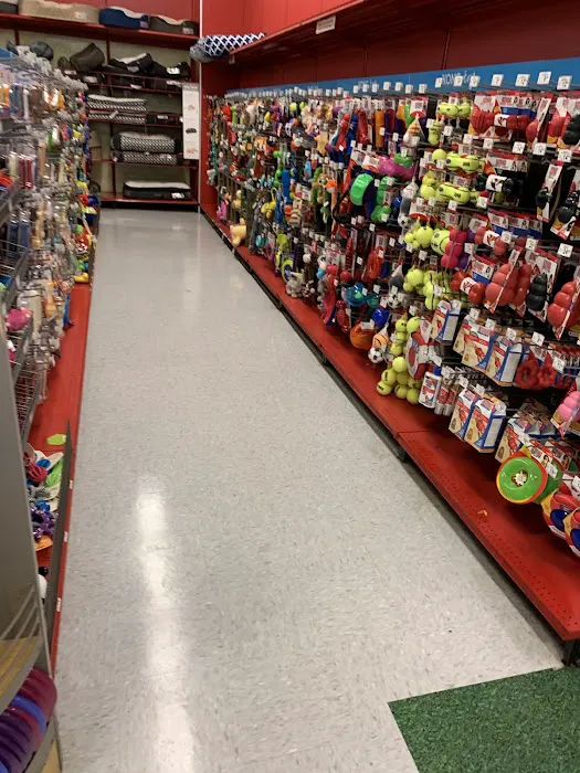 Petco Picture 6