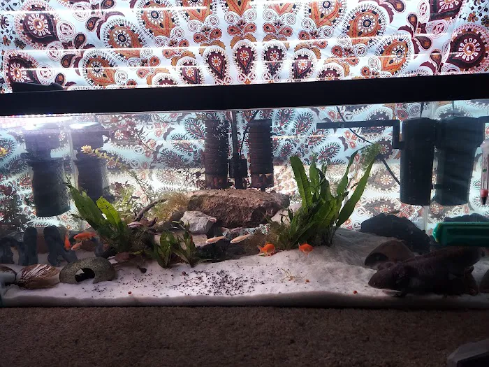 Petco Picture 10