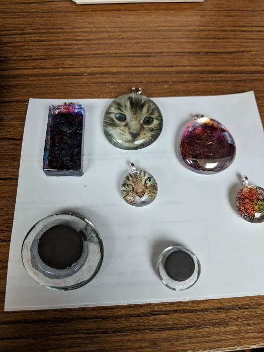 All Cats Care Center Picture 6