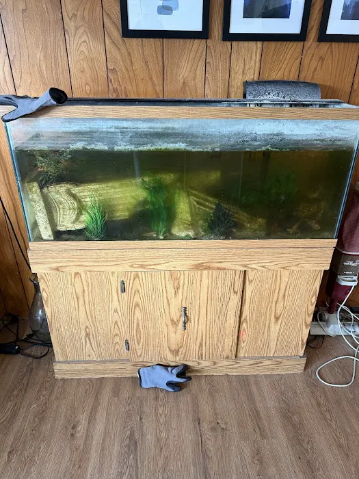 Reef Under The Roof Aquarium Maintenance (Service)/ Online Coral Shop Picture 3