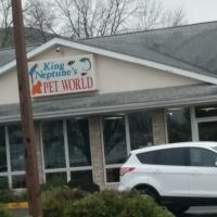 King Neptune's Pet World ico