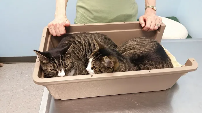 Bayview Animal Hospital Picture 3