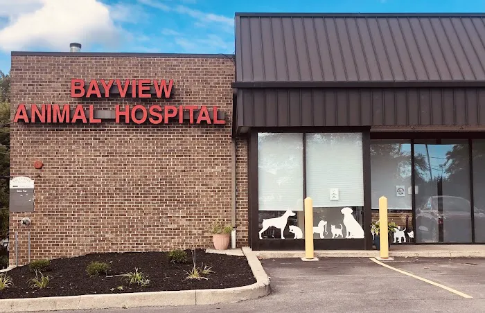 Bayview Animal Hospital Picture 1