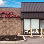 Bayview Animal Hospital