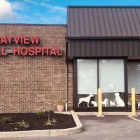 Bayview Animal Hospital ico