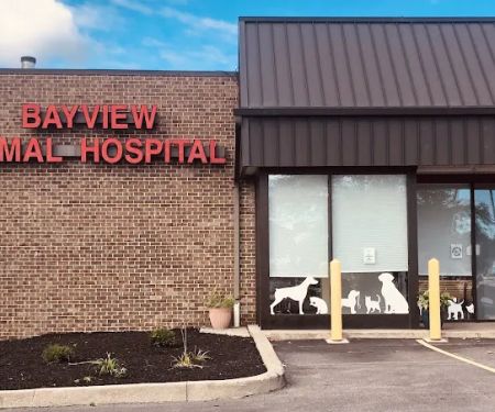 Bayview Animal Hospital