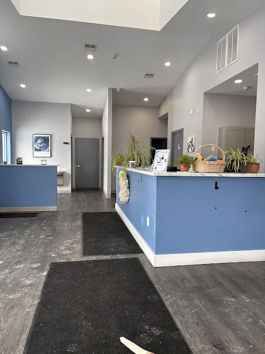 Laurelton Bayside Animal Hospital Picture 8