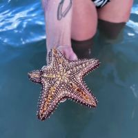 Nikava Coral Kreations ico