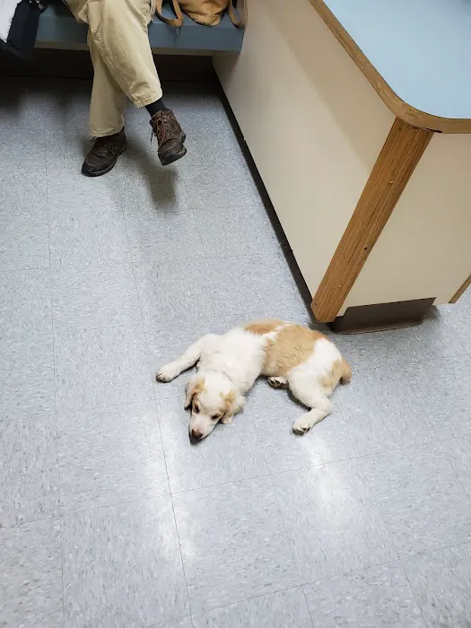 North Country Veterinary Services Picture 3